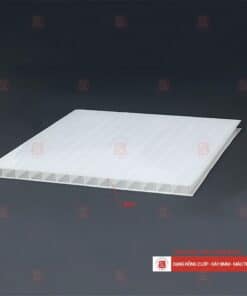 Tấm Polycarbonate rỗng ruột 8mm trắng đục